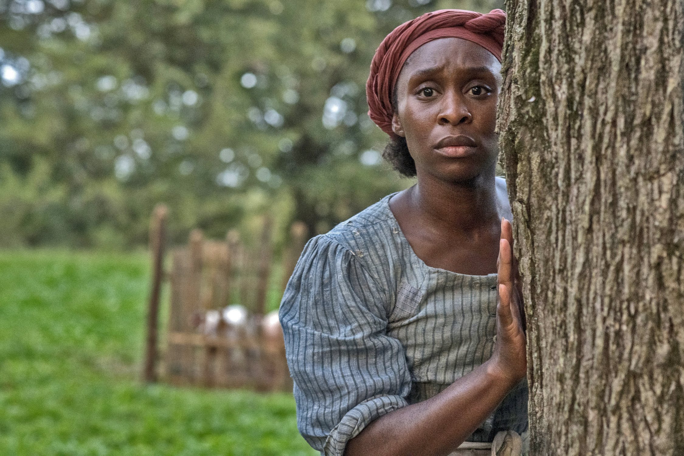 Film Review Harriet Gets Two Hits Fullerton Observer