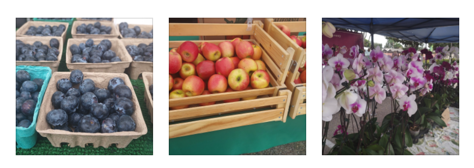 Farmers’ Market in Fullerton  Highlights Fresh Produce and Sustainability